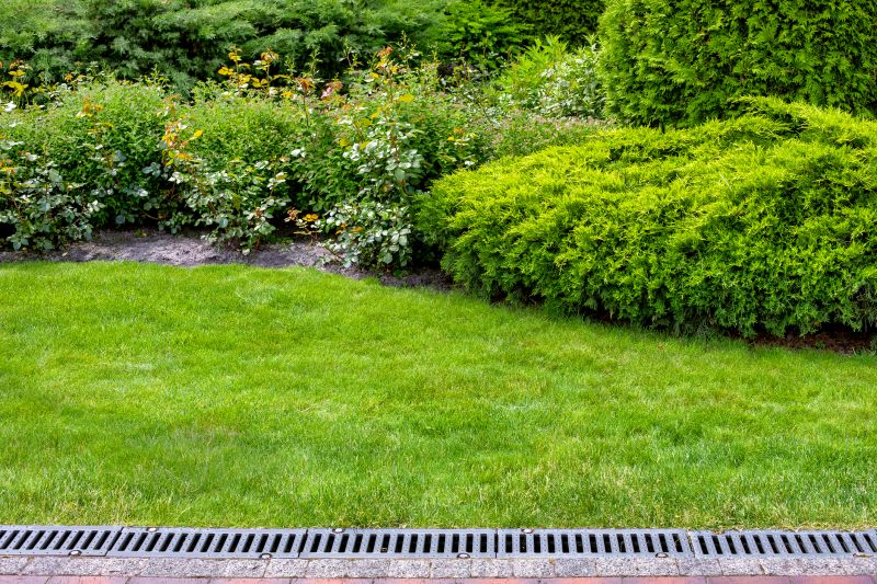 Landscaped Drainage Solution