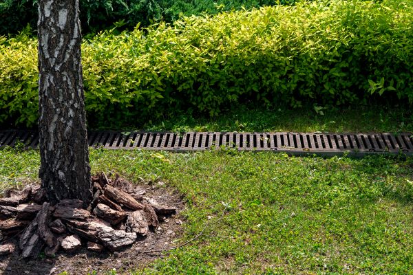 Wet Yard Drainage in Hendersonville