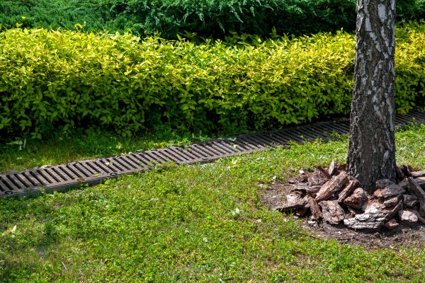 Residential Landscape Drainage in Hendersonville